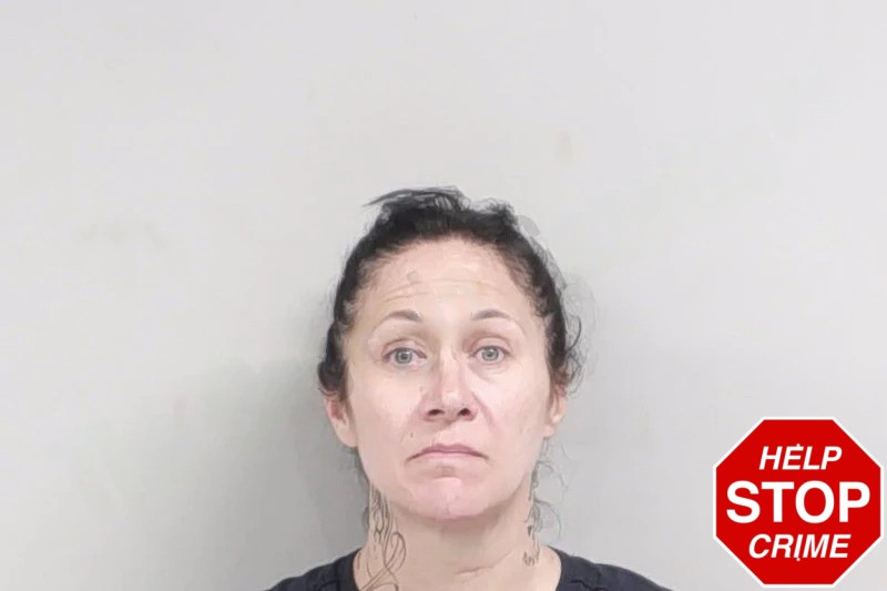 Samantha Wager Mugshots