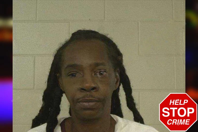 Sandra King mugshot – Liberty County , Georgia Sandra King mugshot