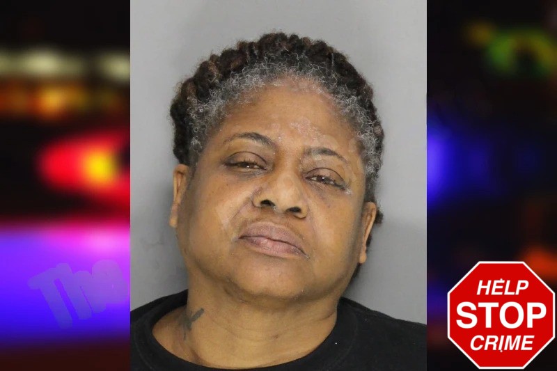 Sandra Perkins mugshot