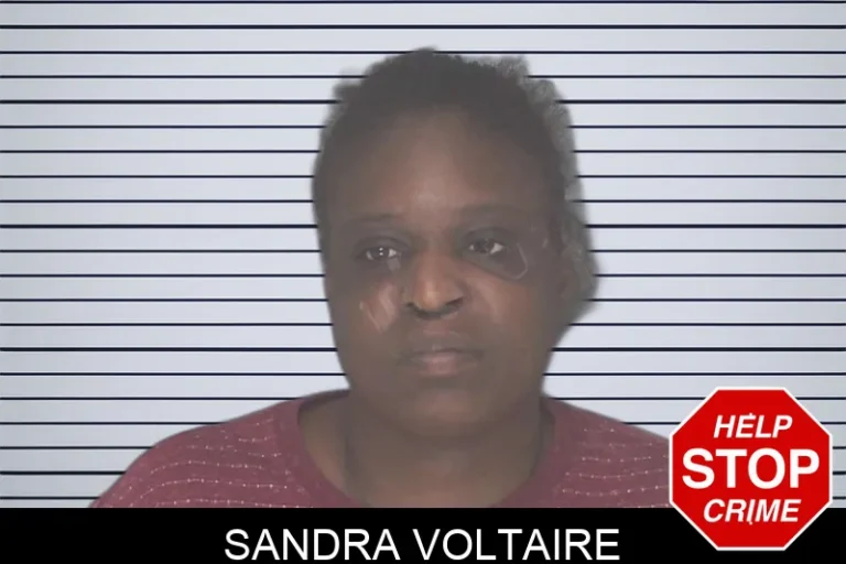 Sandra Voltaire