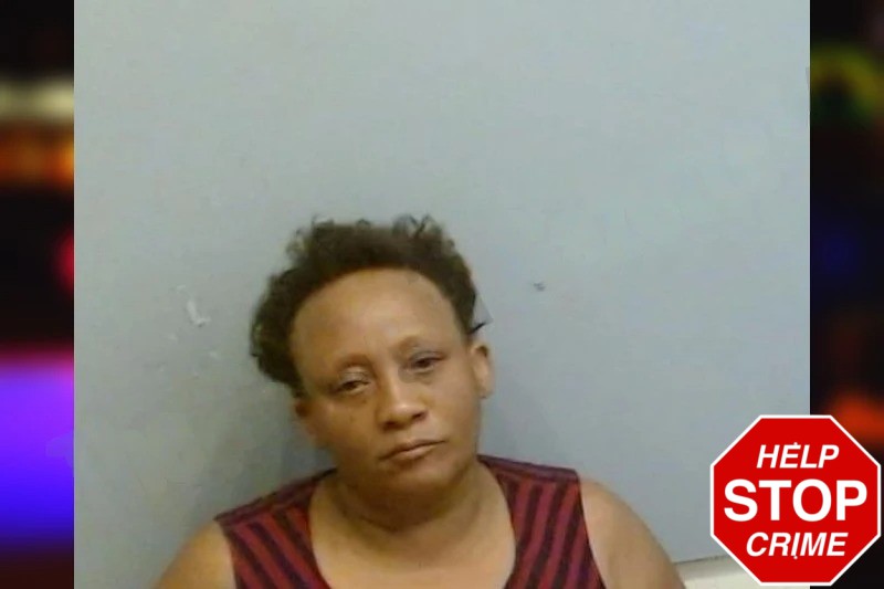 Santay Houston Mugshots