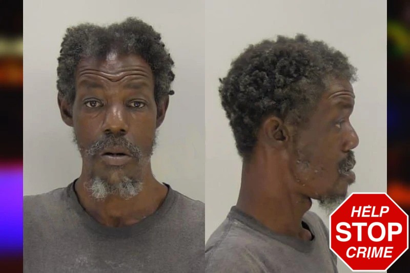 Santonia Robinson mugshot