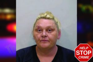 Sara Sellers mugshot