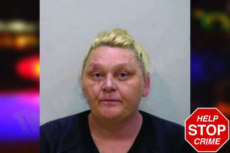 Sara Sellers mugshot – Bartow County , Georgia Sara Sellers