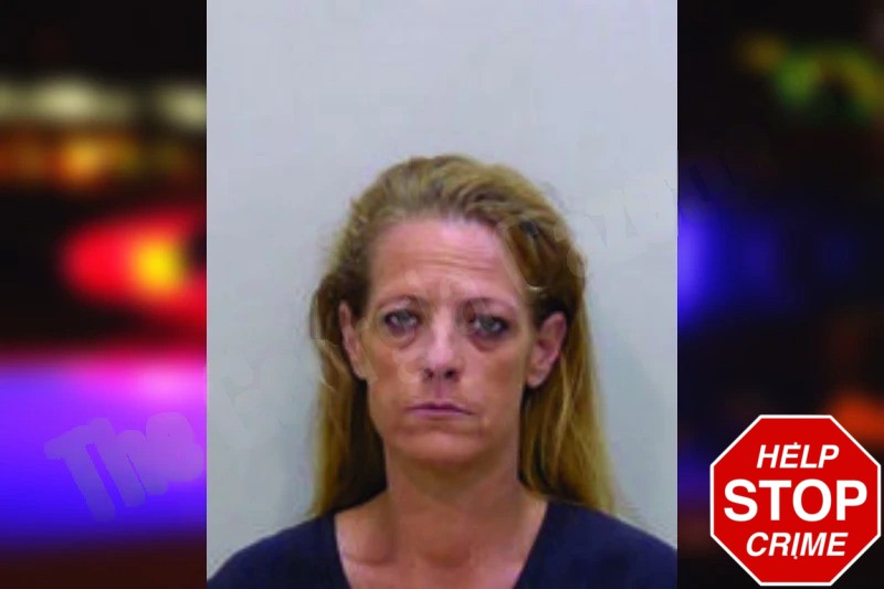 Sara West mugshot – Bartow County , Georgia Sara West mugshot