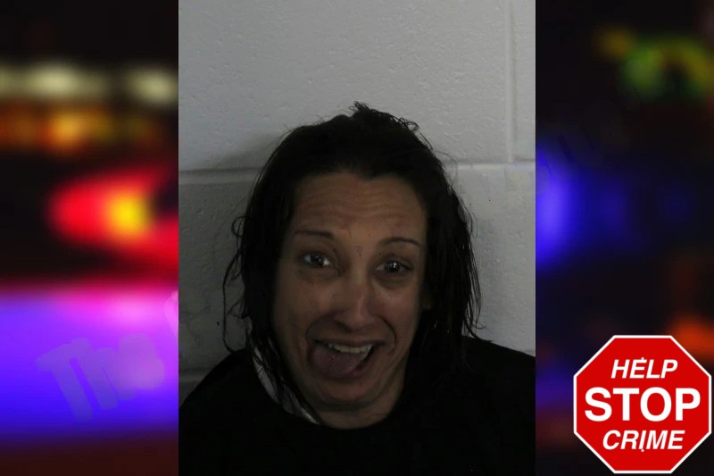 Sarah Doolin Mugshots