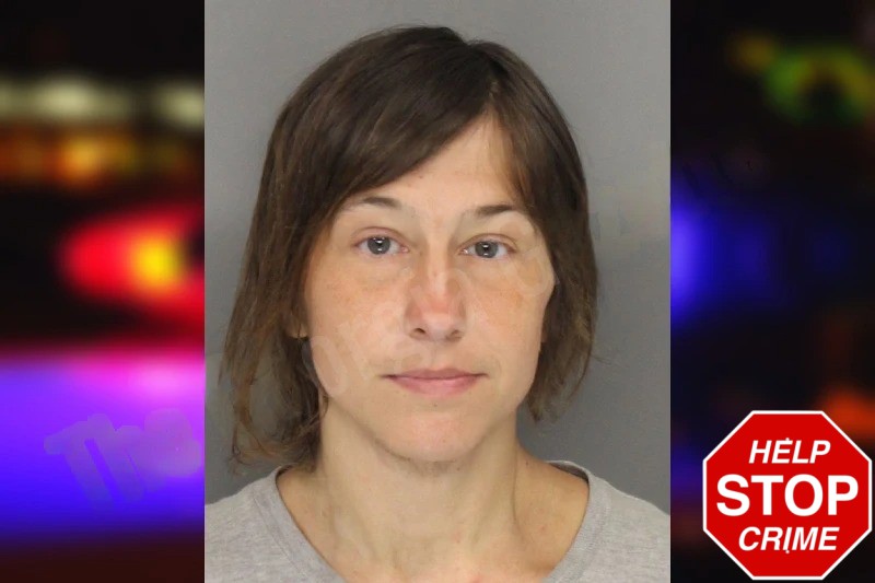 Sarah Pointer Mugshots