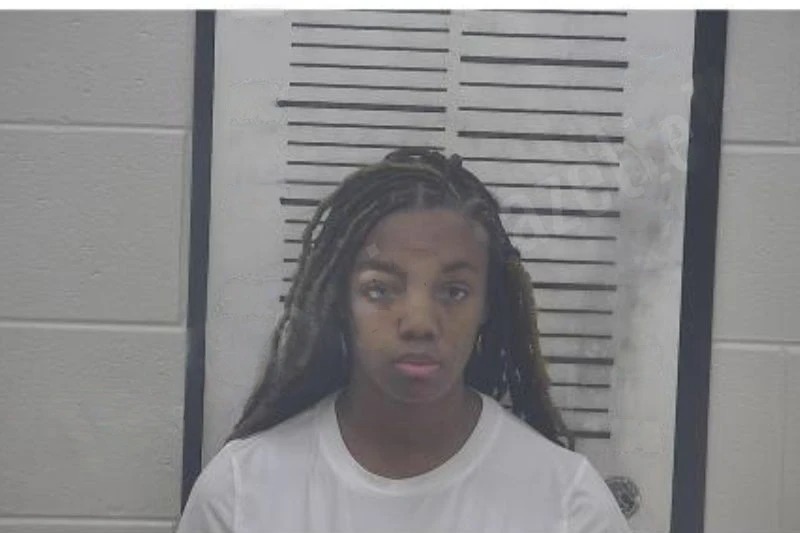 Sariah Wells Mugshots