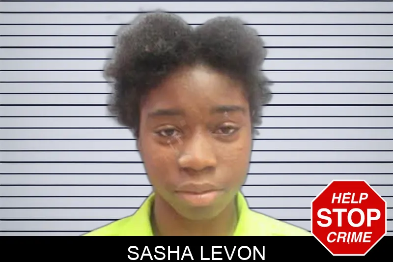 Sasha Levon Mugshots