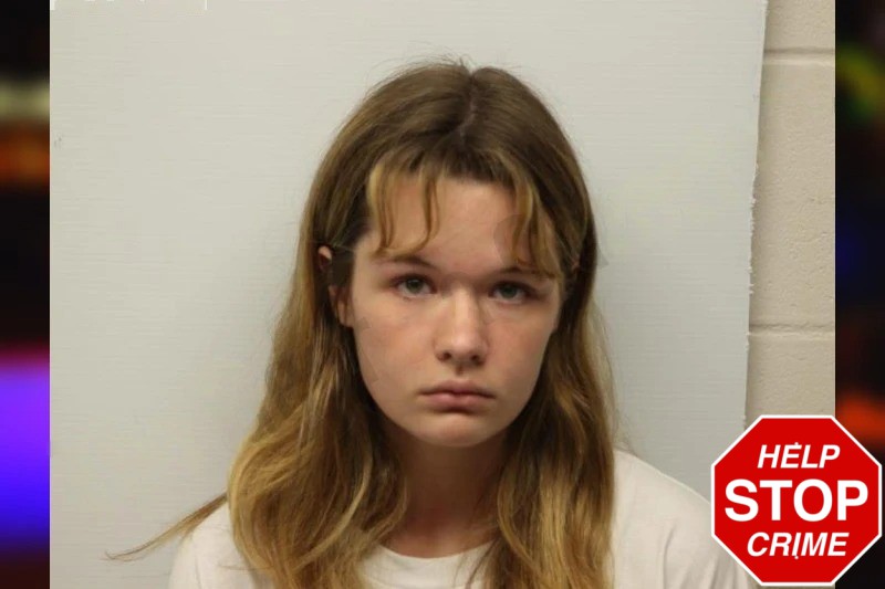 Savannah Ayers Mugshots