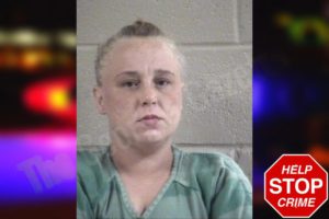 Savannah Hanson mugshot