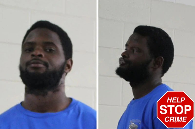 Savioan Head Mugshots