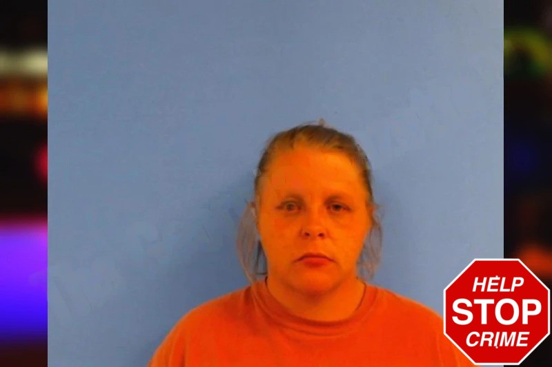 Schyanna Pittman Mugshots