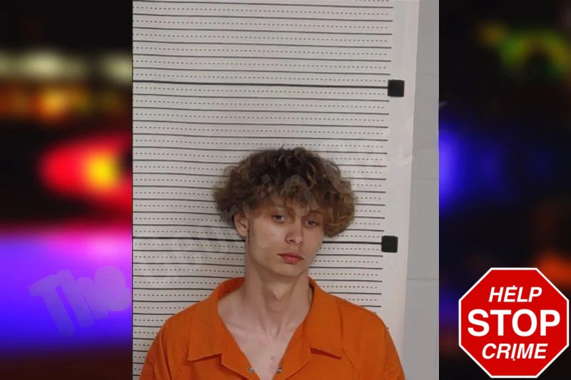 Sean Nelson Mugshots