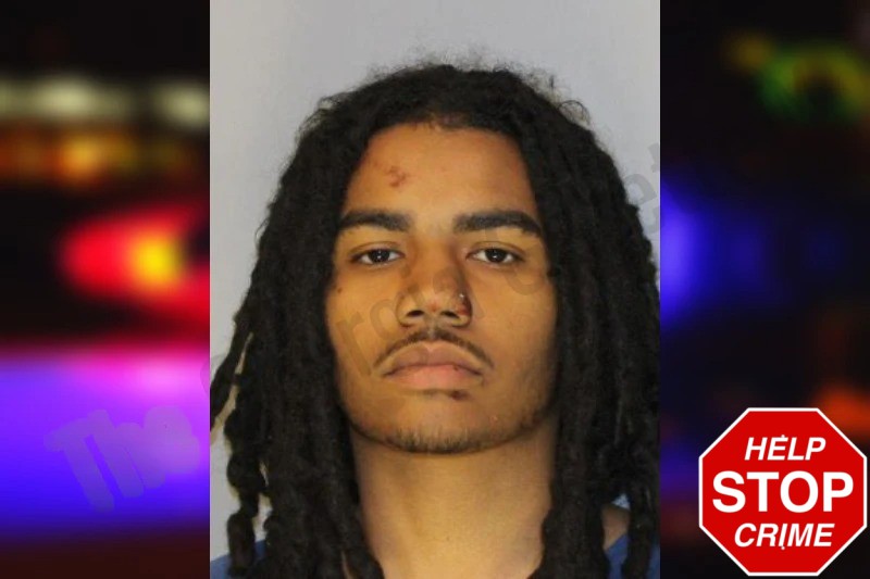 Sebastian Almonte mugshot