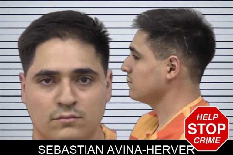 Sebastian Avina-Herver