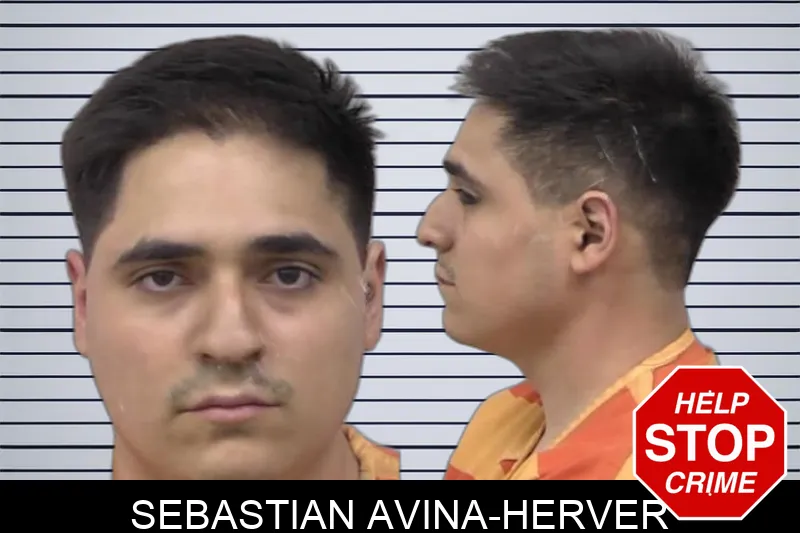 Sebastian Avina-Herver mugshot – Paulding County , Georgia Sebastian Avina-Herver mugshot
