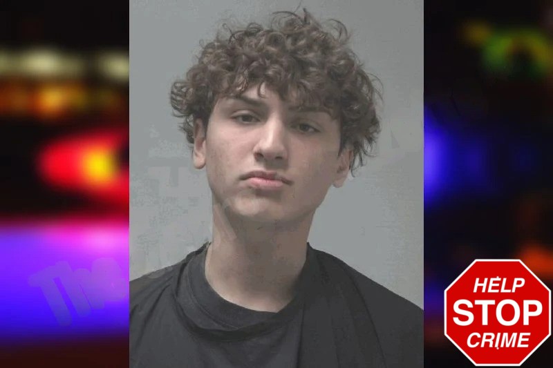 Sebastian Cairo mugshot – Coweta County , Georgia Sebastian Cairo mugshot