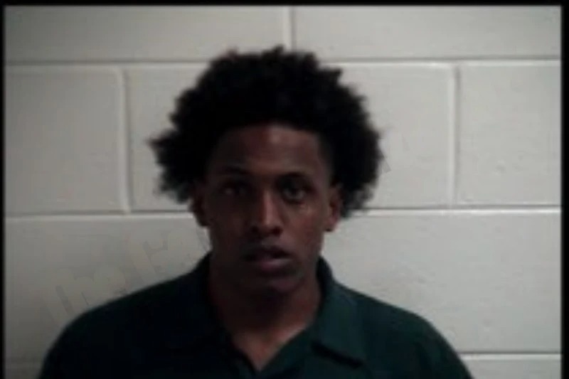 Sebastian McLaughlin mugshot – Henry County , Georgia Sebastian McLaughlin mugshot