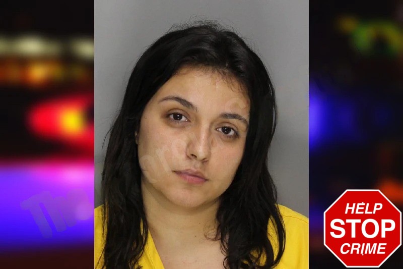 Selena Romero Mugshots