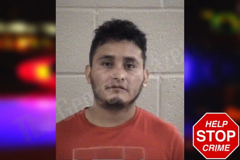 Sergio Perez-Arreaga Mugshots