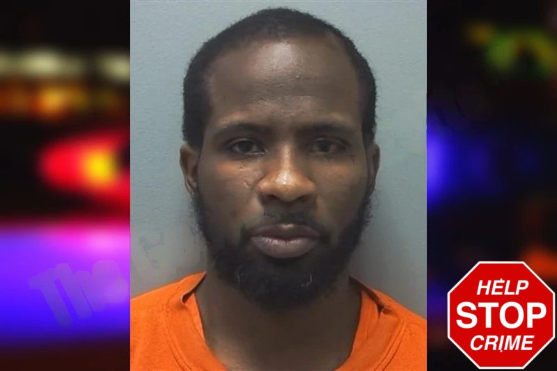 Shalaire Johnson Mugshots