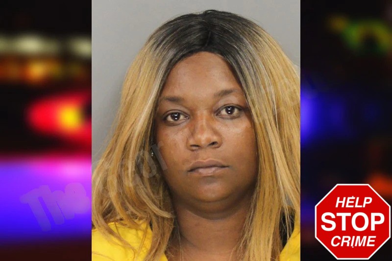 Shamekia Hill Mugshots