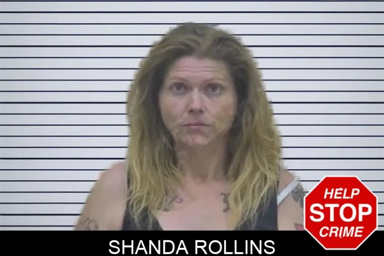 Shanda Rollins