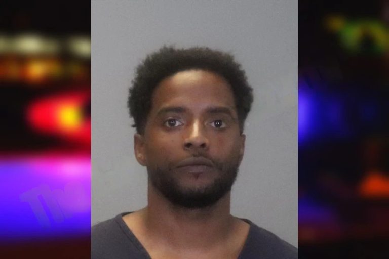 Shane Sheppard mugshot – Chatham County , Georgia Shane Sheppard