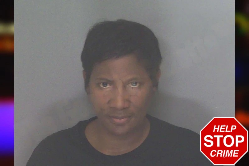 Shanetta Briscoe mugshot – Douglas County , Georgia Shanetta Briscoe mugshot