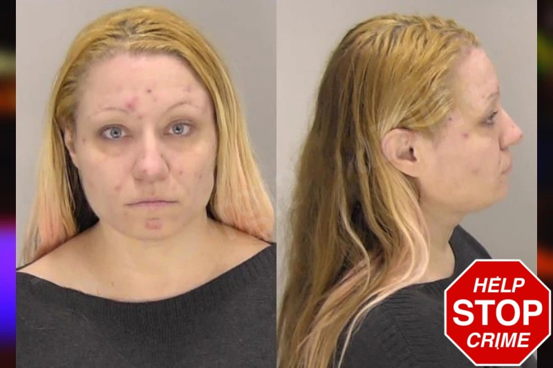Shanna Brandon mugshot