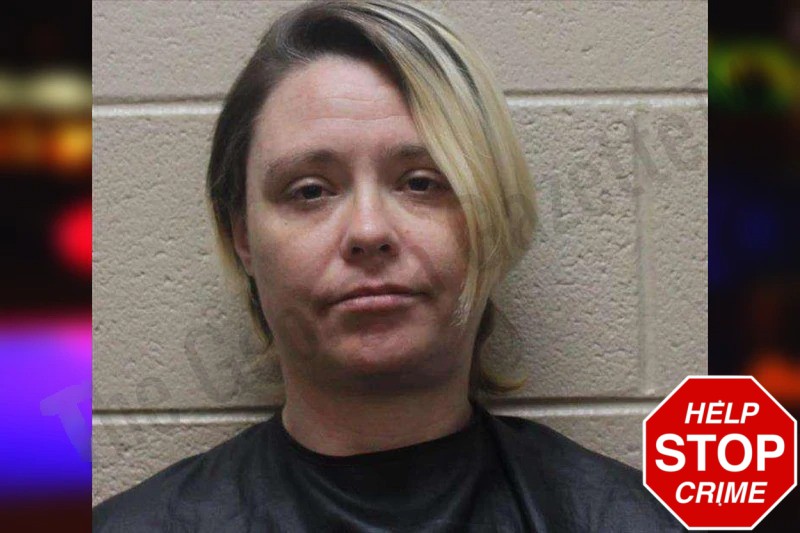 Shanna Spicer Mugshots