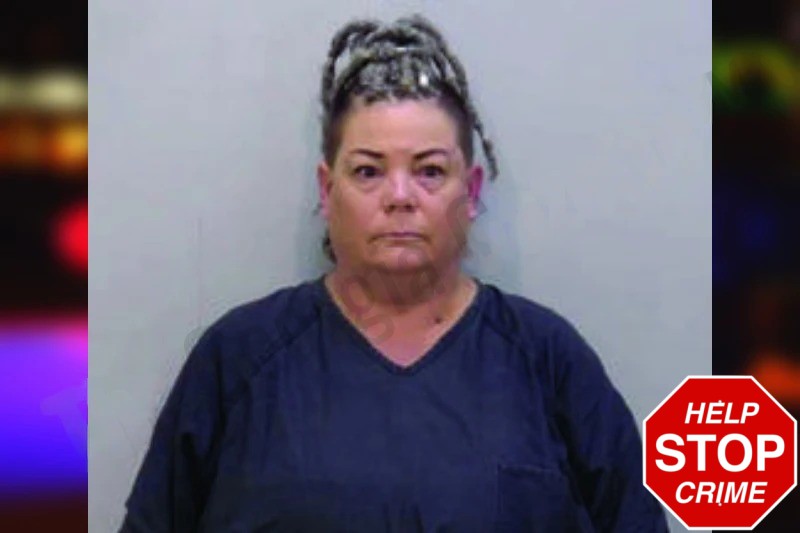 Shannon Ford mugshot – Bartow County , Georgia Shannon Ford mugshot
