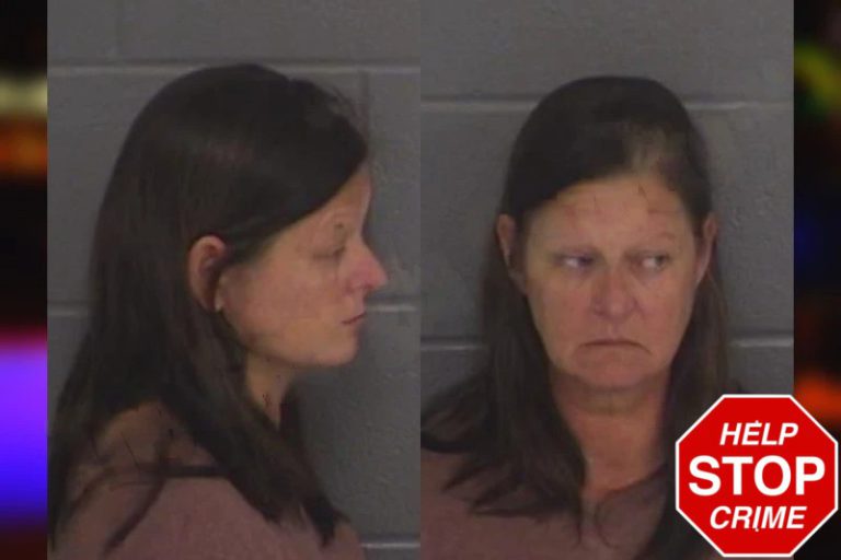 Shannon Sweat mugshot – Barrow County , Georgia Shannon Sweat