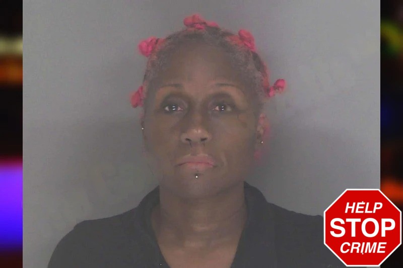 Shante Chestnut Mugshots