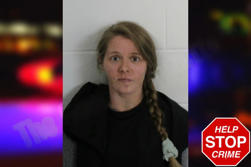 Shantel Coggins Mugshots