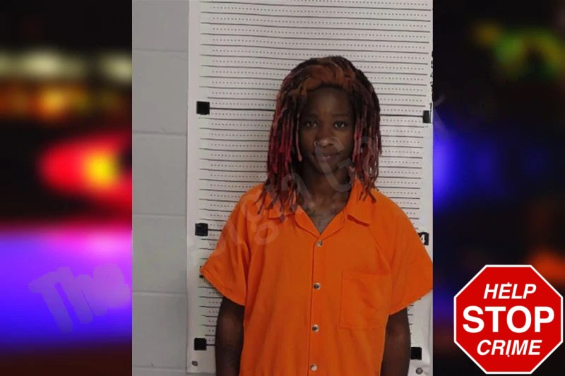 Shanterria Hicks Mugshots