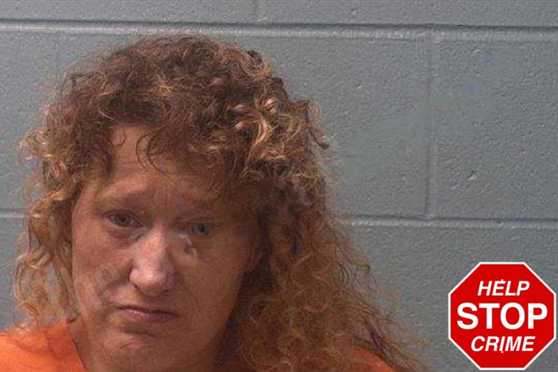 Sharon Freeman mugshot