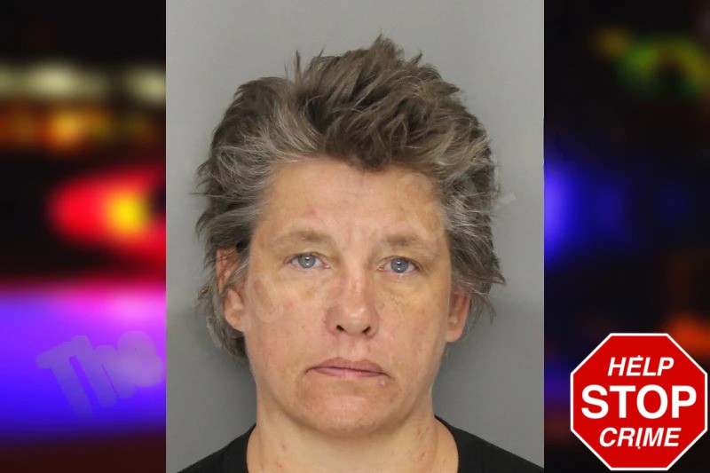 Sharon Pendergast Mugshots