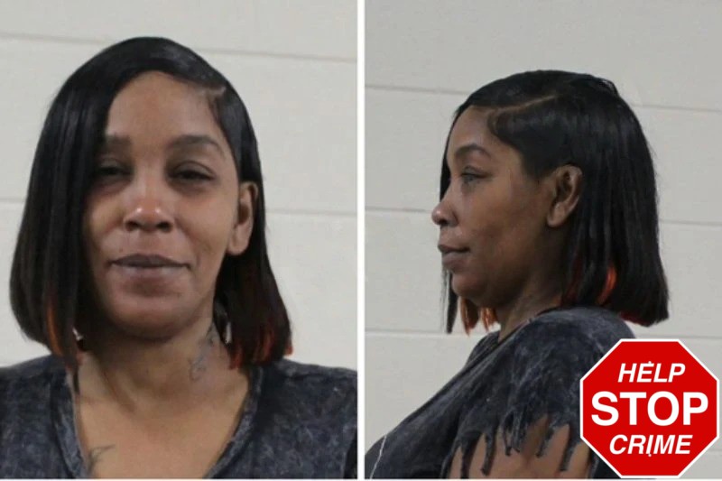 Sharon Rosado mugshot