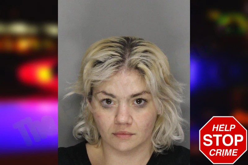 Sharon Schnizler Mugshots