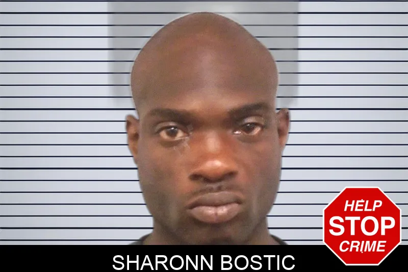 Sharonn Bostic Mugshots