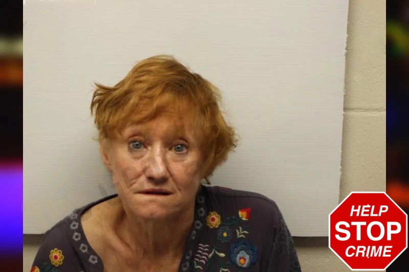 Sharron Dishong Mugshots