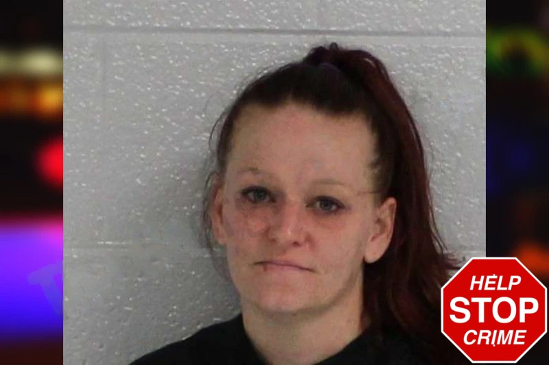 Shauna Davis Mugshots