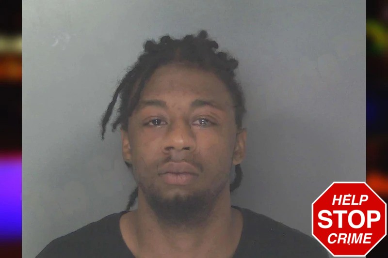 Shaunessy Ellison Mugshots