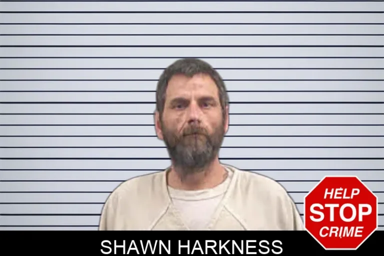 Shawn Harkness