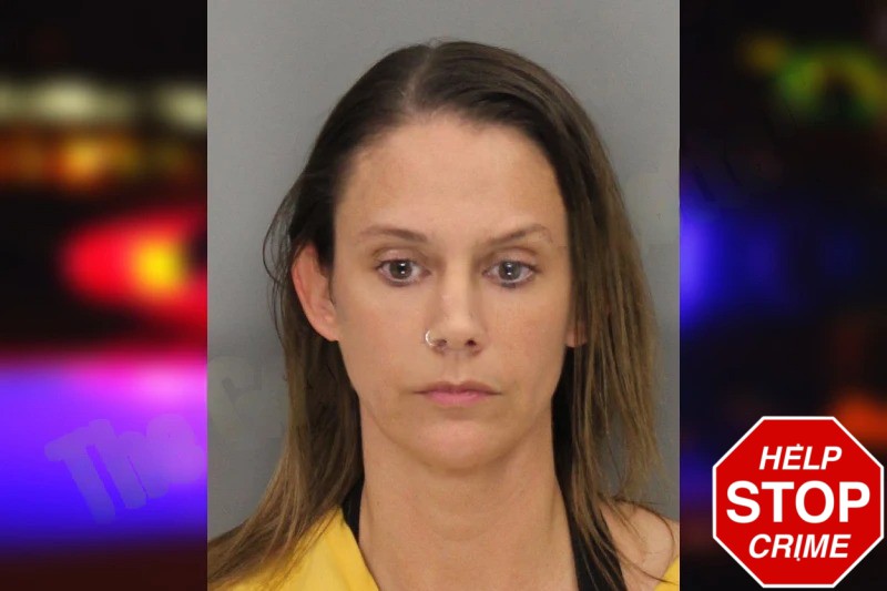 Shawna Wilmington mugshot