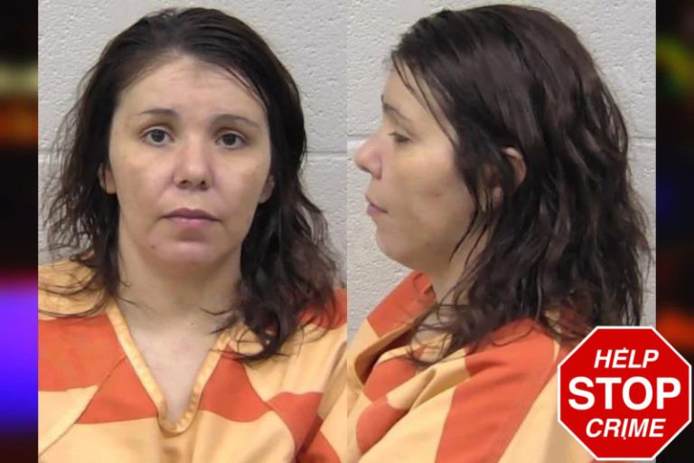 Shawna Younkin mugshot – Paulding County , Georgia Shawna Younkin