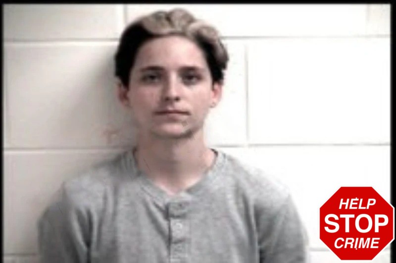 Shawnea Jones mugshot – Henry County , Georgia Shawnea Jones mugshot