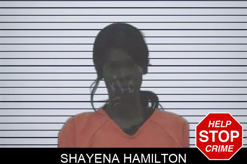 Shayena Hamilton Mugshots